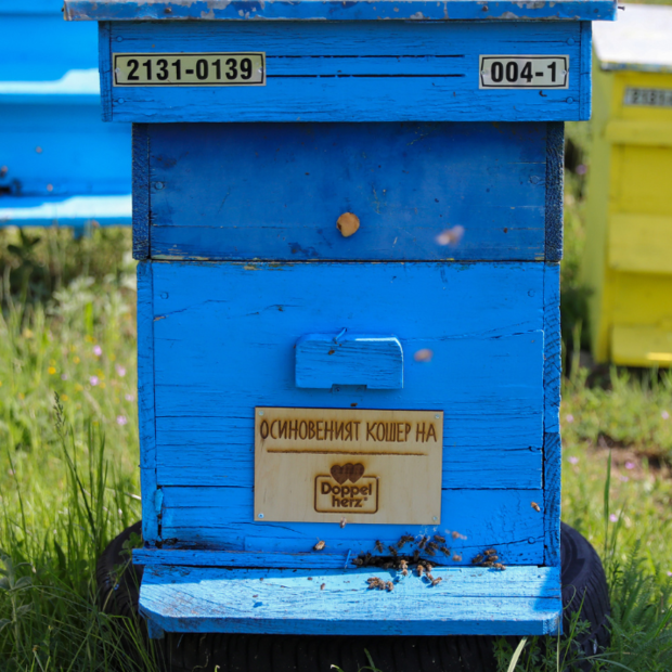 Допелхерц - осиновител на кошери и в подкрепа на българските пчелари